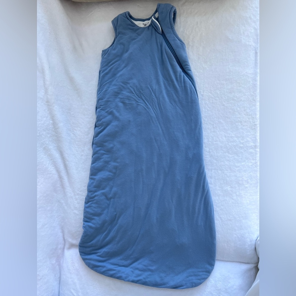Kyte Baby 2.5tog sleep bag